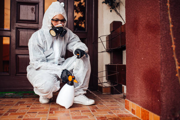 Reliable Cockroach Control contractor in Ramona, CA by Nex Pest Control